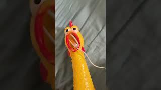 Rubber chicken earrape