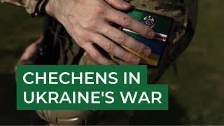 Chechen batallions in Ukraine: Common fight against Russia. Ukraine in Flames #162