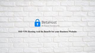 SSD VPS Hosting And Its Benefit for your Business Website | BetaHost