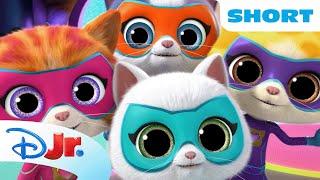 SuperKitties Su-Purr Adventures Short | Dress Like a SuperKitty | NEW SHORTS | @disneyjr