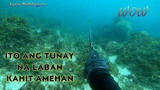 DAY DIVE SPEARFISHING .. DUMAYO PARIN KAHIT MALAKAS ANG DAGAT.