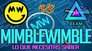 ¿Qué es MimbleWimble? - ¿Qué es Grin? - ¿Qué es Beam? Criptomonedas