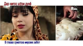 Nigina Amonqulova  Gularusi Zamona TAJ Lyrics+ RUS Translation 720p