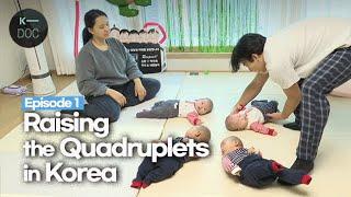 [Episode 1] A Korean couple raising quadruplets | couple vlog