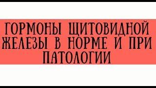 Гормоны щитовидной железы в норме и при патологии - meduniver.com