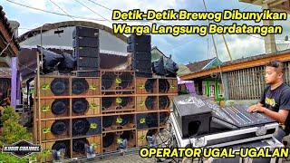 Detik" Brewog Di Bunyikan Warga Langsung Berdatangan  Brewog Audio Live Ngantang