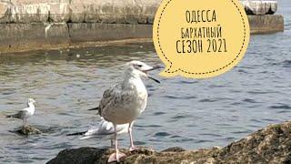 #Ukraine, Odessa /11.09.2021/ БАРХАТНЫЙ СЕЗОН/СОЛНЦЕ, ТЁПЛОЕ МОРЕ, ЧАЙКИ И СВОБОДНЫЕ ПЛЯЖИ