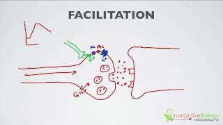 020 Facilitation