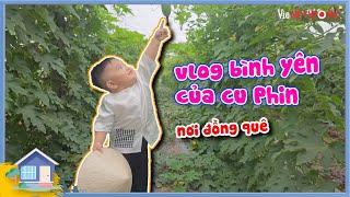 Vlog của chủ tịch cu Phin và cuộc sống bình yên nơi đồng ruộng không áp lực như hai nhỏ chị nhà giàu