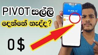 0$ Pivot - What is PVT ? - Sinhala