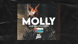 Molly Dancehall Instrumental Riddim 2025 Skillibeng RajahWild Type Beat ️ #dancehall