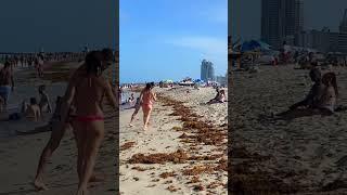  Sunny day at 𝐌𝐈𝐀𝐌𝐈 𝐁𝐄𝐀𝐂𝐇  Bikini Beach walk !!