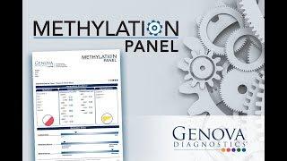 Introduction to Genova Diagnostics' Methylation Panel