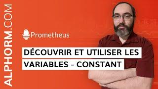 Formation Prometheus : Découvrir et utiliser les variables - Constant