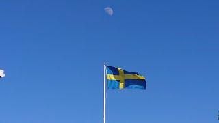 Sveriges Nationaldag