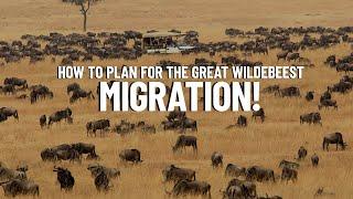 How to Plan the Perfect Great Wildebeest Migration Safari!