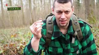 Bushcraft Survival: Die scharfen Zwiebeln von Bärlauch erkennen und die Verwechslungsgefahren!