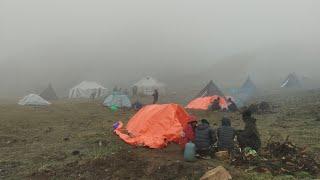 Most Relaxation Himalayan Village Life into Rainy Time  | Nepal |Cooking And Eating in the Jungle