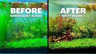 I TRIED TO KILL GREEN DUST ALGAE - HERE'S WHAT HAPPENED...