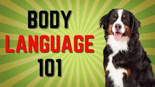 How to Understand Your Dog Better: Dog Body Language 101