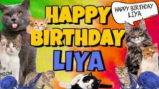 Happy Birthday Liya! Crazy Cats Say Happy Birthday Liya (Very Funny)