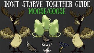 Don't Starve Together Guide: Moose/Goose