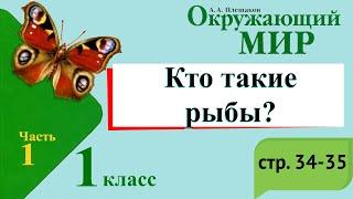 Кто такие рыбы? Окружающий мир. 1 класс, 1 часть. Учебник А. Плешаков стр. 34-35