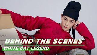 White Cat Legend BTS:Ding Yuxi plays the role of the white cat with full feeling | 大理寺少卿游 | iQIYI