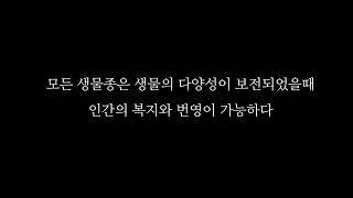 인간도 멸종할수있다