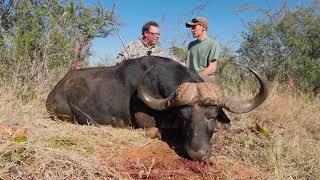 Legendary Pursuits: Buffalo and Sable Hunt in South Africa's North West Province