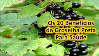 Os 20 Benefícios da Groselha Preta Para Saúde