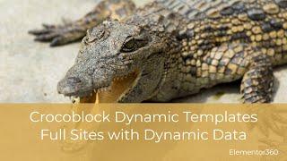 Crocoblock Dynamic Templates - Full Sites with Dynamic Data