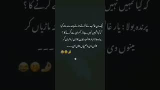  #fastudio #poorlife #arydigital #humtv #sadpoetry #pakistan #puna #turkey #dubai #abudhabi