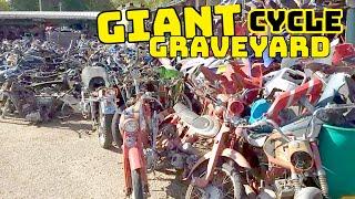 GIGANTIC MOTORCYCLE GRAVEYARD (LARGEST salvage yard and huge junkyard)