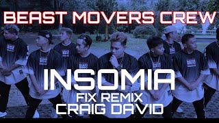 INSOMIA/ FIX REMIX/ CRAIG DAVID/ BMC/ DANCE FITNESS