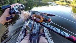 River Fishing With A Bat Lure!