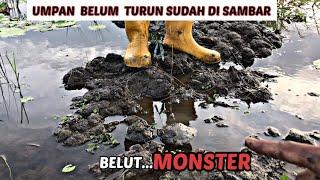 MANCING BELUT TERBESAR 2021 |belut purba