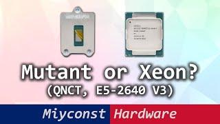  QNCT mutant vs Xeon E5-2640 V3, which platform is better for budget PCs – LGA 1151 or LGA 2011-3?