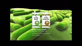 Compo Expert Granular Fertiliser