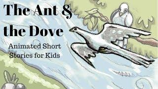 The Ant and the Dove (Animated Stories for Kids)