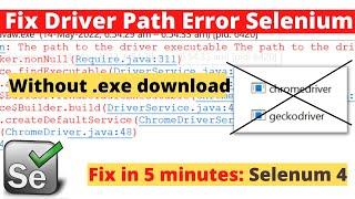 Fix browser driver Path Error without downloading EXE files | How to run Selenium without EXE