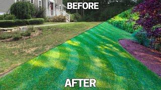 Fix an Ugly Lawn 5 TIPS -Easy Step by Step Guide For Beginners