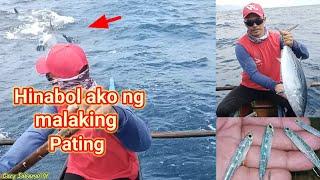 mano-manong paghabol ng litaw o kawan/Handline fishing using limbag o wirik #tunalure #@amlan