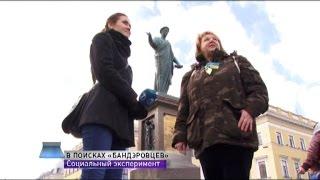 Известная российская активистка Елена Васильева в Одессе