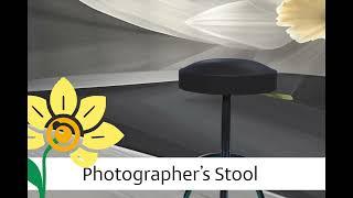 Photographer's Stool - Daffodil Experience