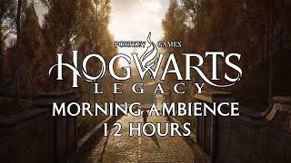 Hogwarts Legacy Morning Ambience + Music 12 hours