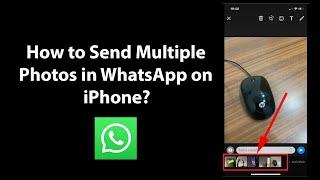 How to Send Multiple Photos in WhatsApp on iPhone?