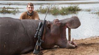 Hippo hunt in Selous Tanzania, Africa.