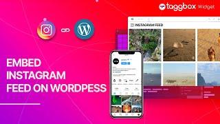 How to Embed Instagram Feed on WordPress Website: Tutorial