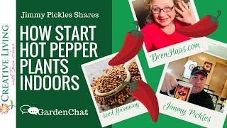 how to grow hot pepper plants from seed  | Interview with Jimmy Pickles